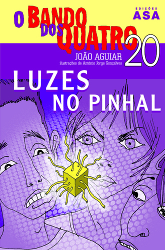 Luzes no Pinhal 20
