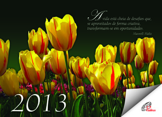 Calend�rio de Mesa 2013