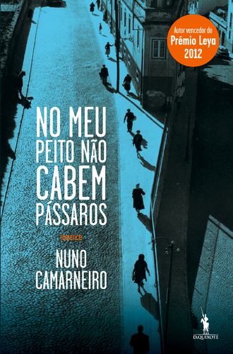 No meu peito n�o cabem p�ssaros