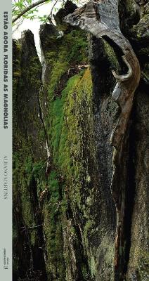 Est�o Agora Floridas as Magn�lias